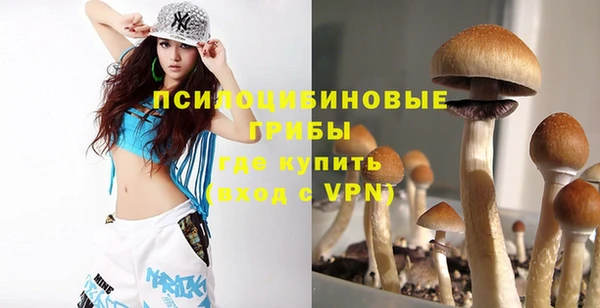 прущая мука Вяземский