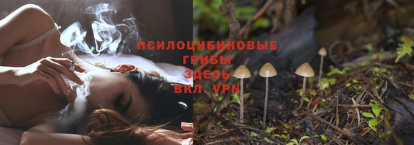 прущая мука Вяземский