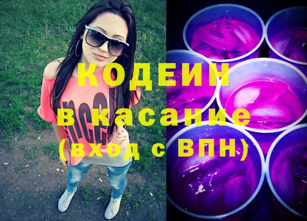 прущая мука Вяземский
