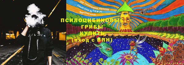 прущая мука Вяземский