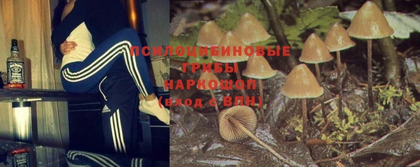 прущая мука Вяземский