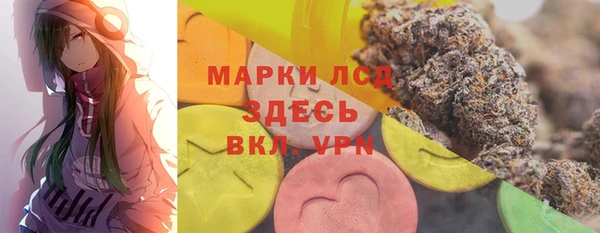 прущая мука Вяземский