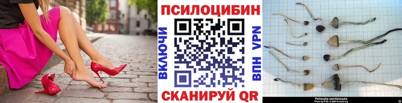 Галлюциногенные грибы Psilocybe  Ханты-Мансийск 