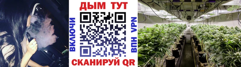 сколько стоит  Ханты-Мансийск  Шишки марихуана марихуана 